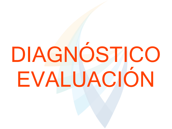 Discos de diagnóstico y evaluación.